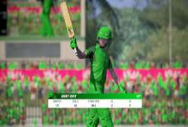 Cricket 19