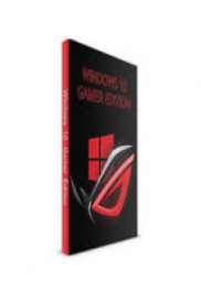 Windows 10 Gamer Edition Pro Lite