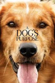 A Dogs Purpose 2017
