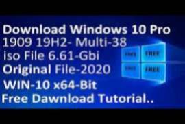 Windows 10 X64 20H2 Pro 3in1 OEM ESD en-US JAN 2021 {Gen2}