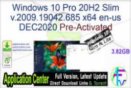 Windows 10 X86 20H2 10in1 OEM en-US DEC 2020 {Gen2}